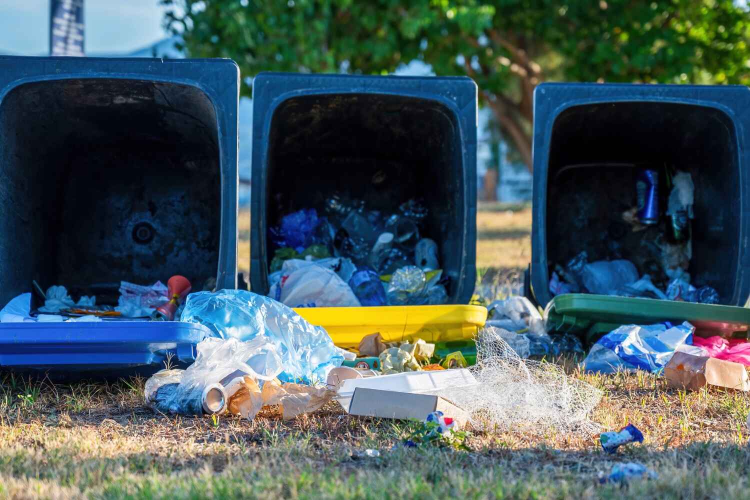 Best Office Junk Removal  in Carrabelle, FL